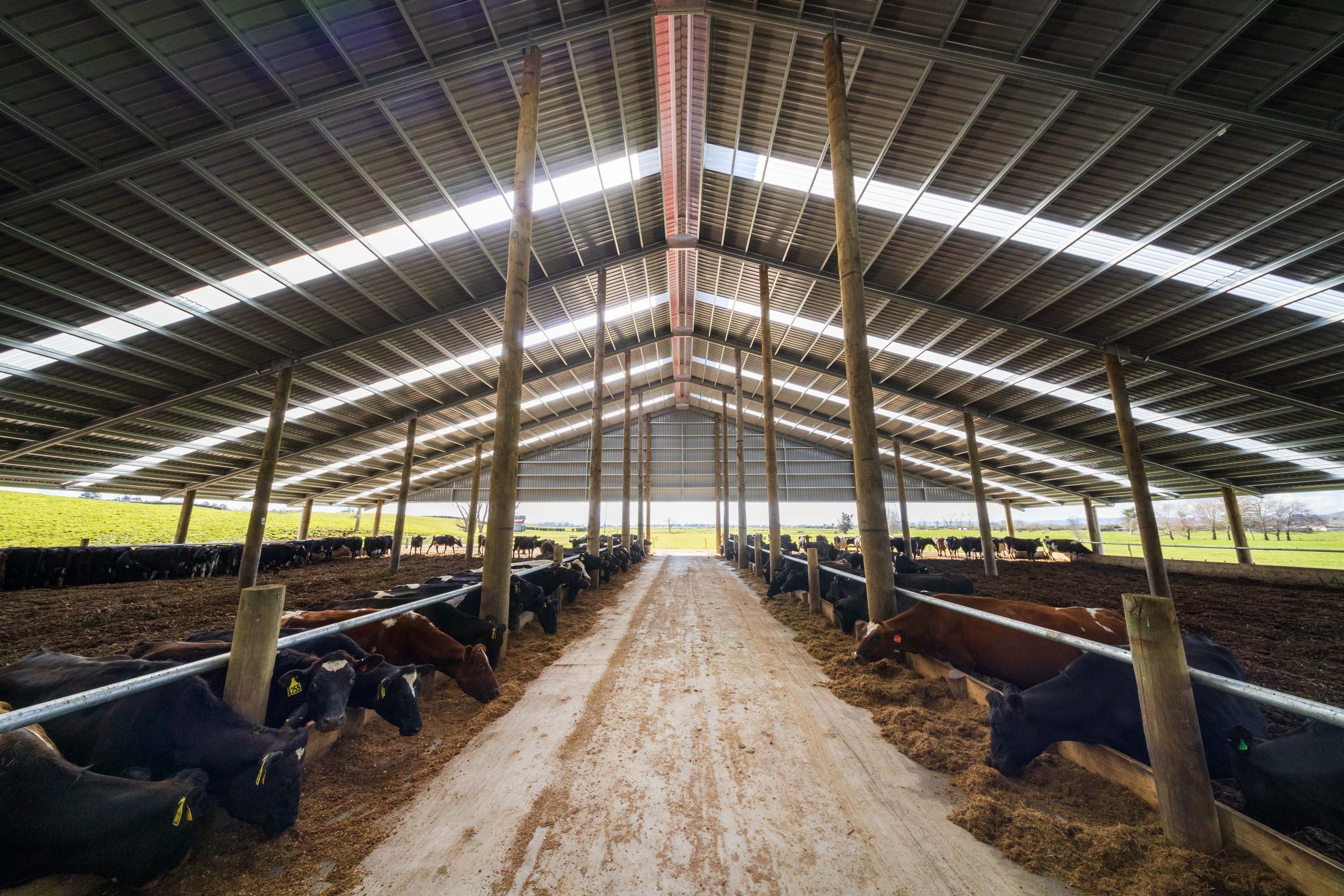 New Zealand’s Top Shed & Barn Builders | Aztech Buildings