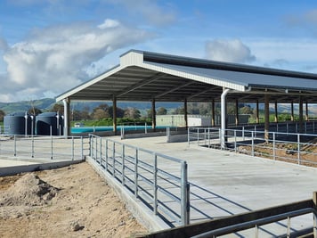 Feedpad Cover, Waikato
