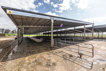 4997 Ohaupo Rd-3