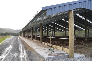C3172 Audmore Dairy Composting Barn (4)