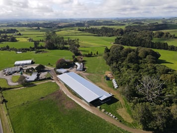 Feedpad Cover, Stratford