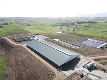 DJI_0564