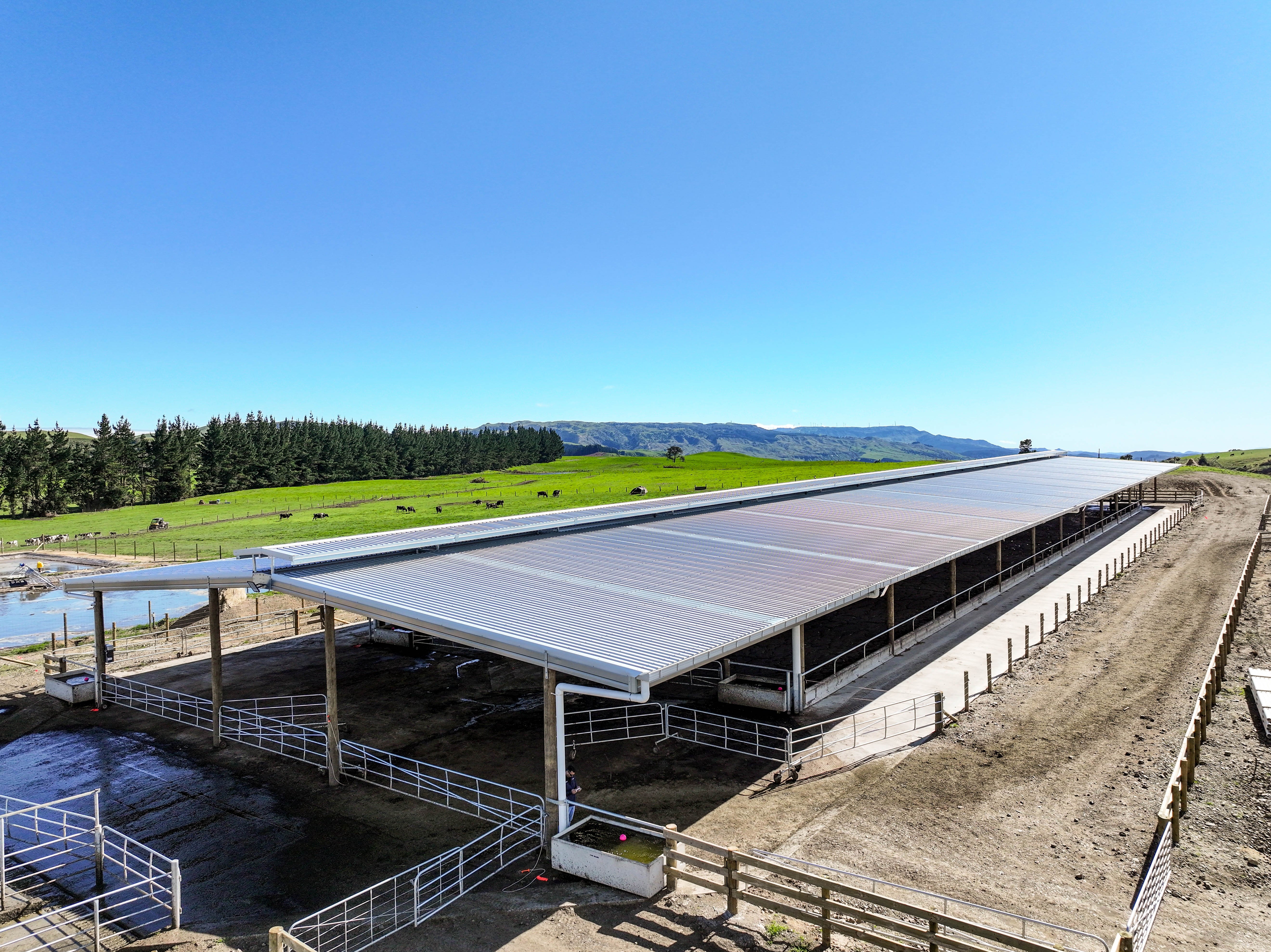 DJI_20251020095158_0036_D