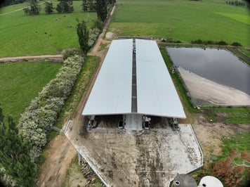 Hamish Mohring Feedpad Cover, Wakaito