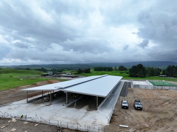 DJI_20251203150851_0052_D