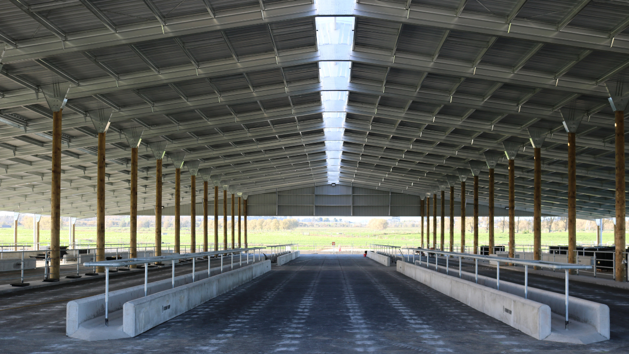 Feedpad Cover NZ