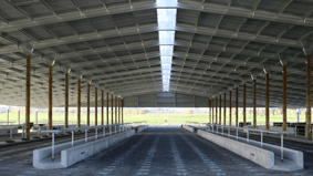 Feedpad Cover NZ