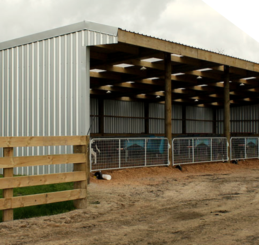 Rural-calf-shed-subtract2