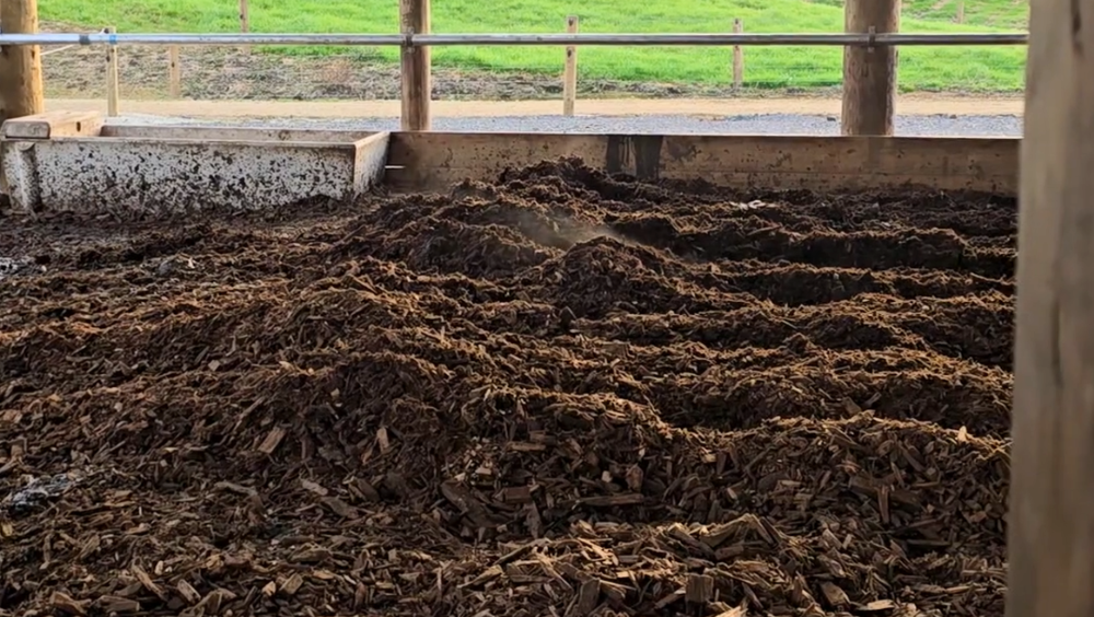 Woodchip Bedding Steaming After Being Tilled