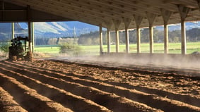Composting Barns NZ: Bedding, Feed Efficiency & Farm System ROI