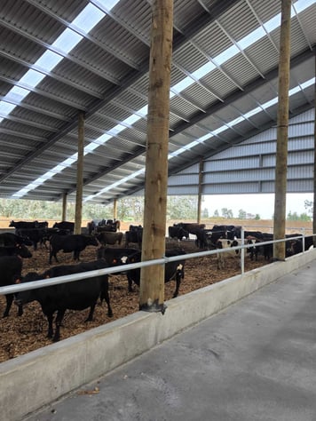 Carl North Composting Barn, Invercargill 