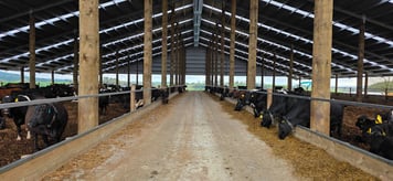  Benlee Farms Composting Barn, Matamata