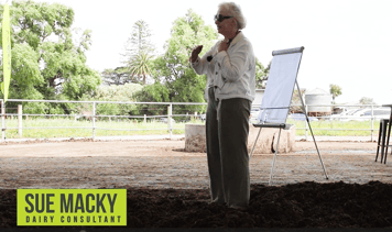 suemackyFAQs