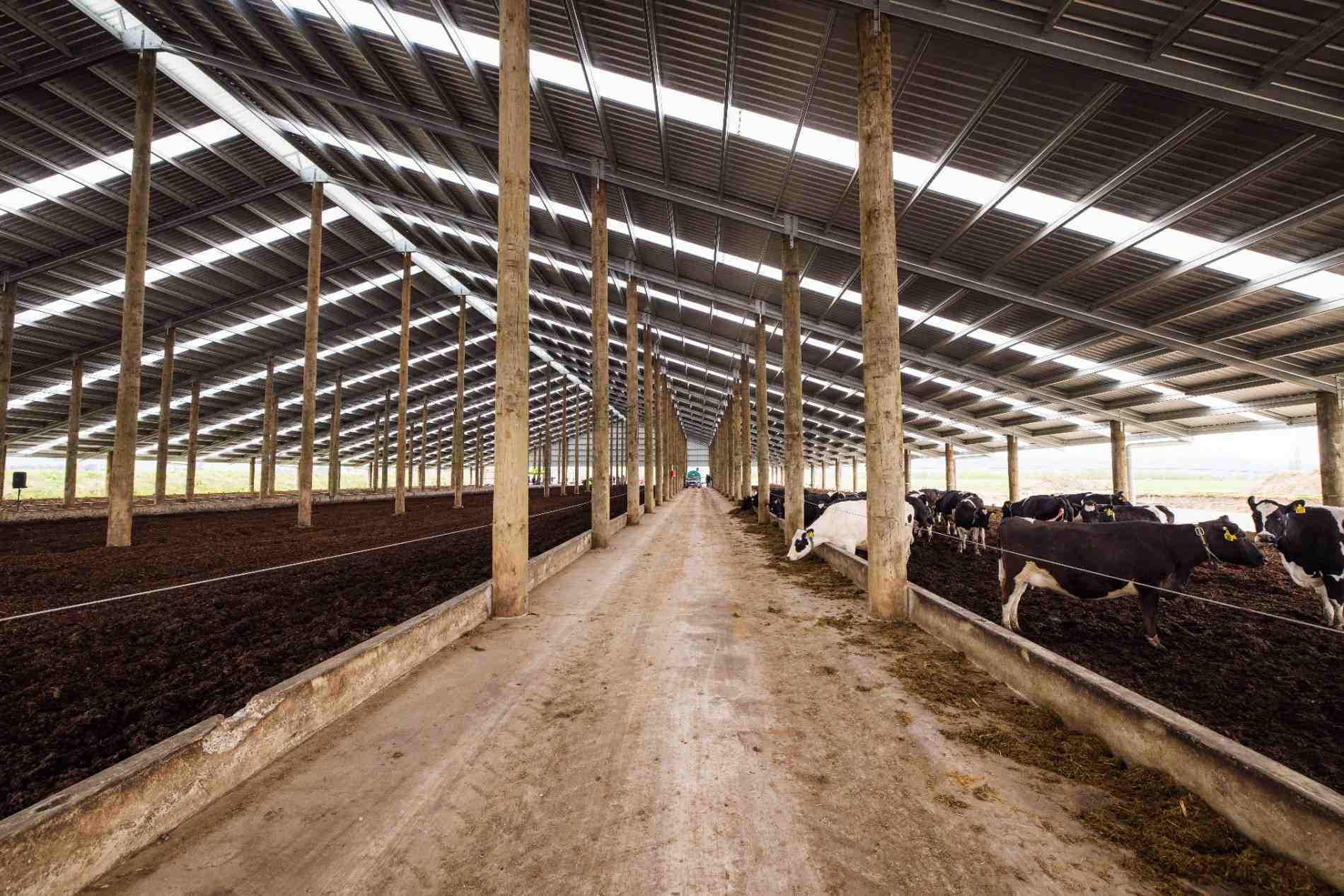 Aztech Composting Barn Roadshow event at a Canterbury dairy farm