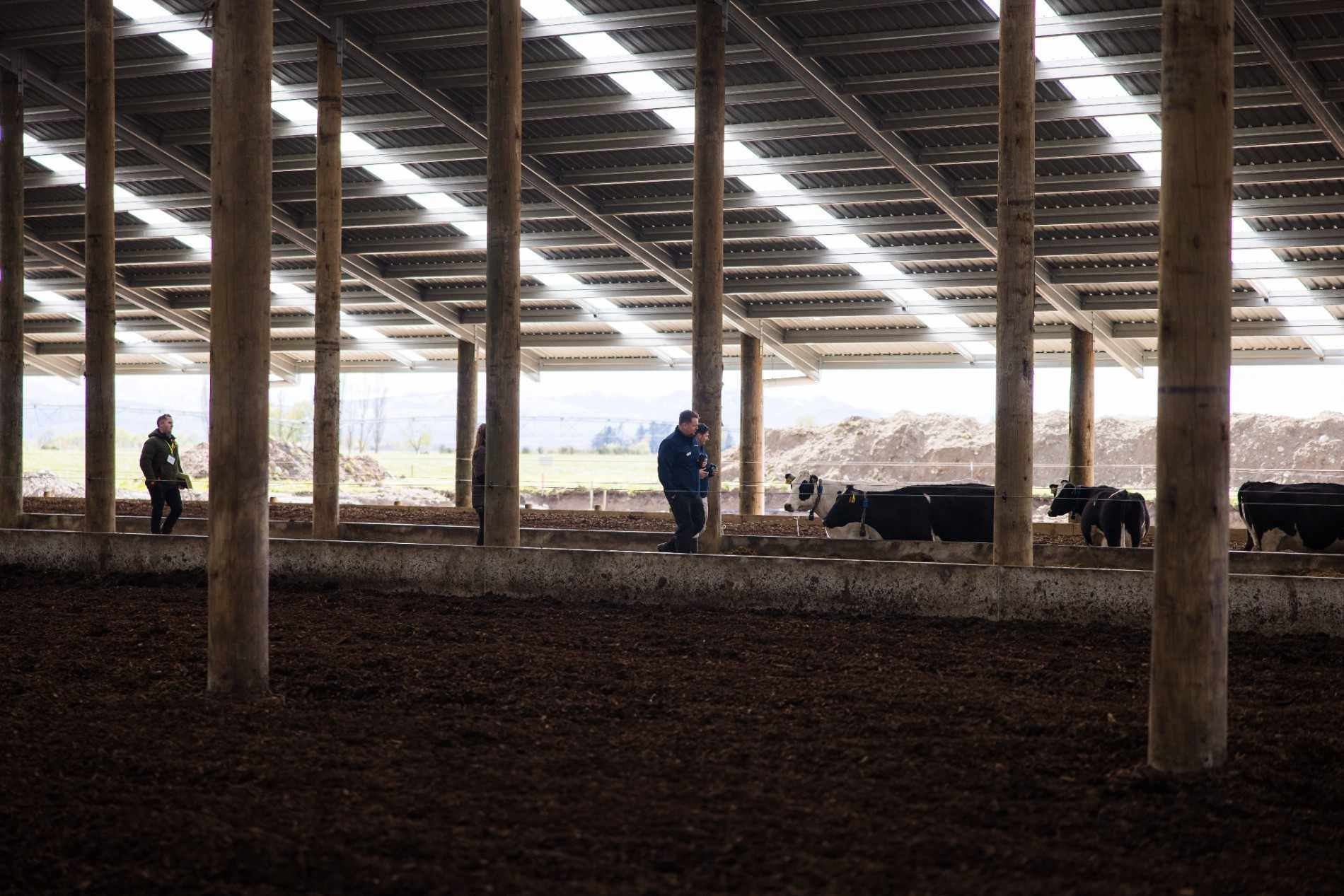Aztech Composting Barn Roadshow event at a Canterbury dairy farm