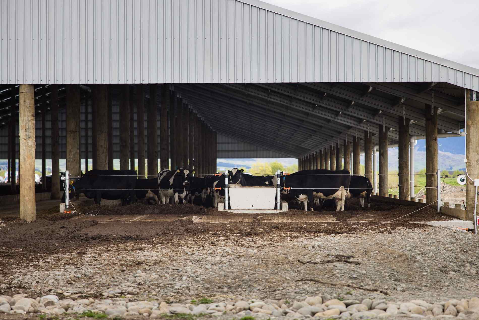 Aztech Composting Barn Roadshow event at a Canterbury dairy farm