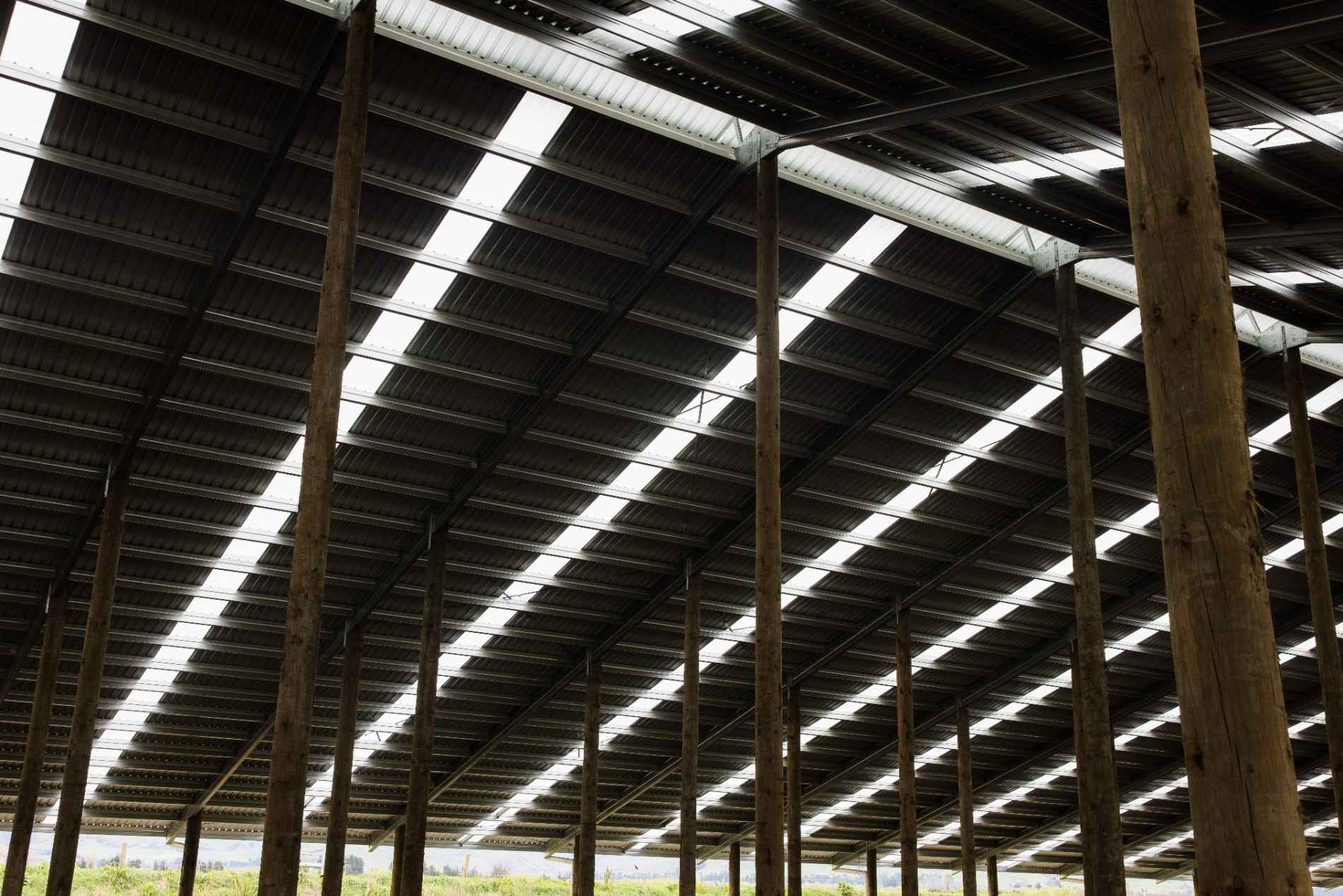 Aztech Composting Barn Roadshow event at a Canterbury dairy farm