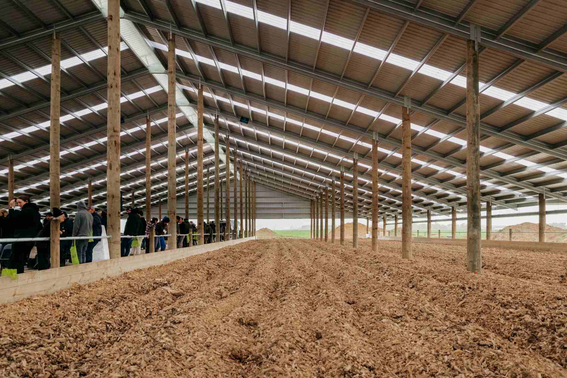 Taranaki composting barn roadshow at Campbell Clayton-Greene’s dairy farm