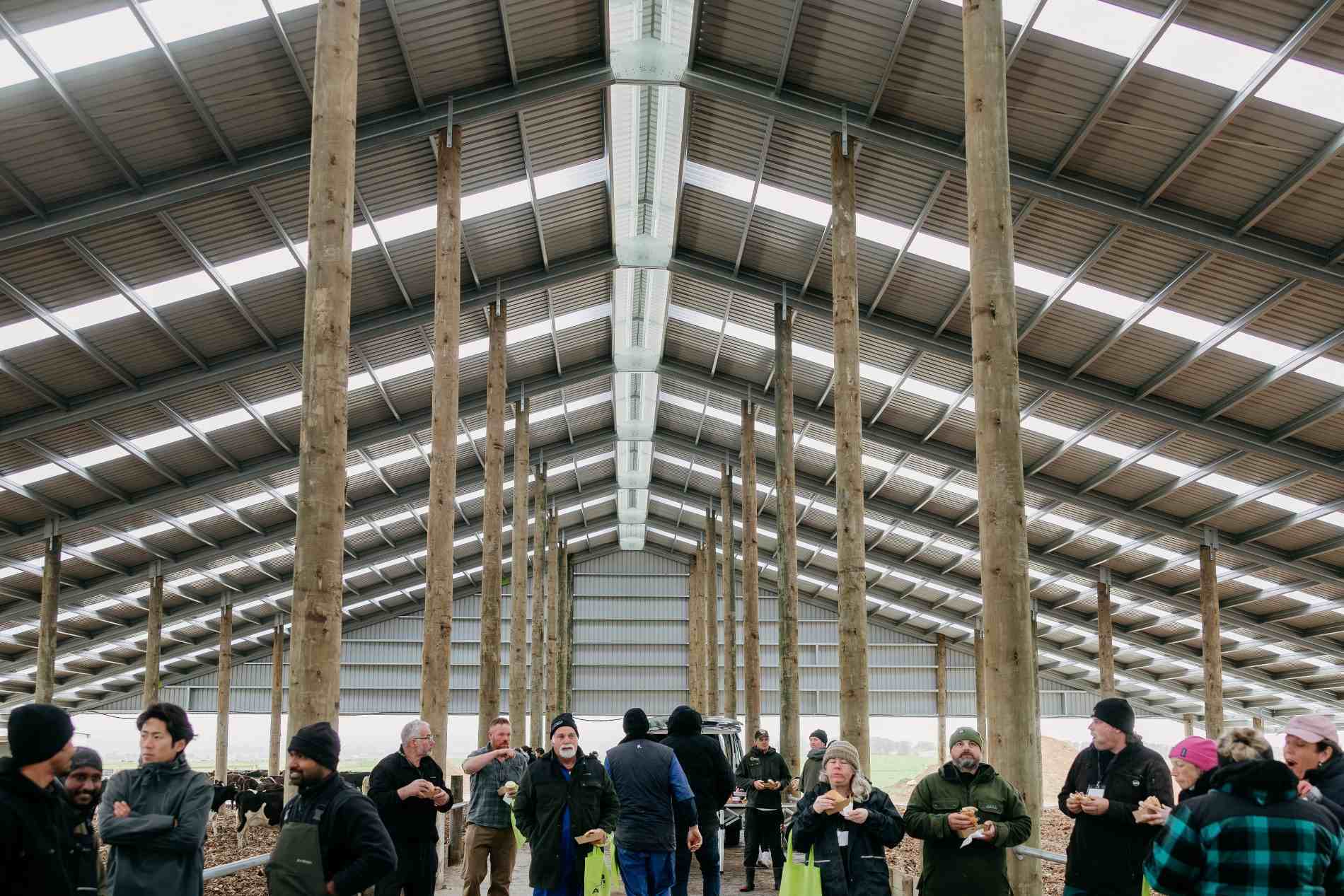 Taranaki composting barn roadshow at Campbell Clayton-Greene’s dairy farm