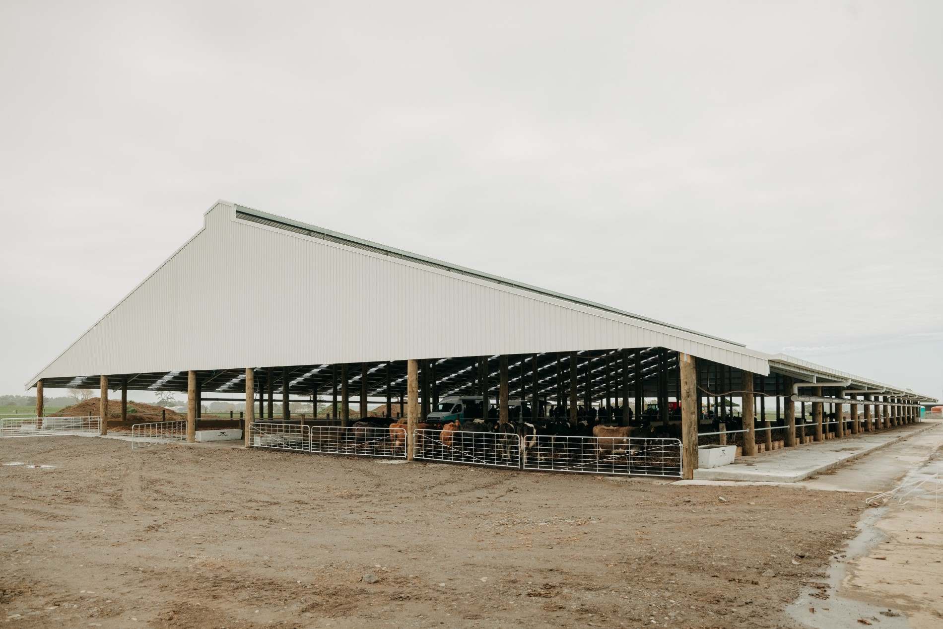 Taranaki composting barn roadshow at Campbell Clayton-Greene’s dairy farm