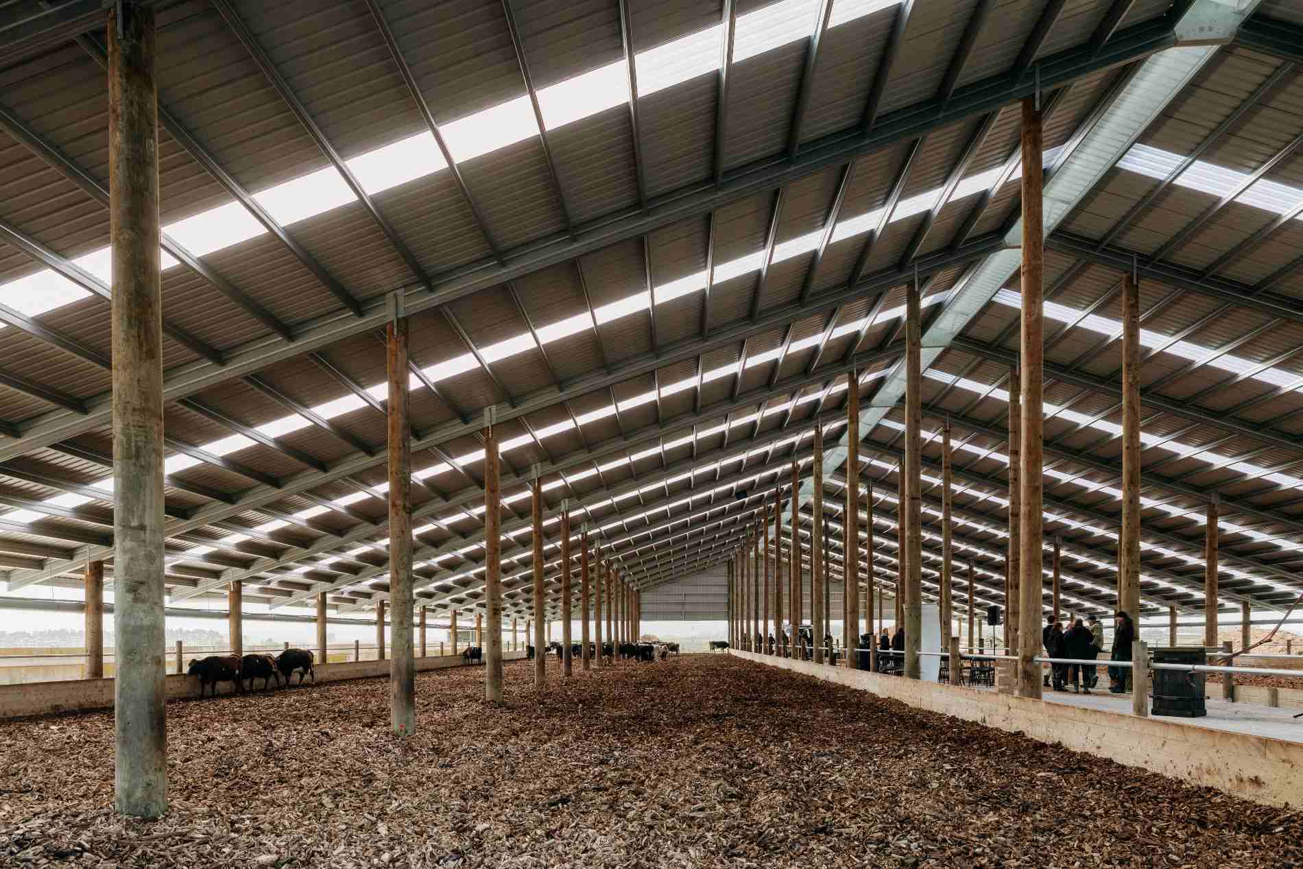 Taranaki composting barn roadshow at Campbell Clayton-Greene’s dairy farm