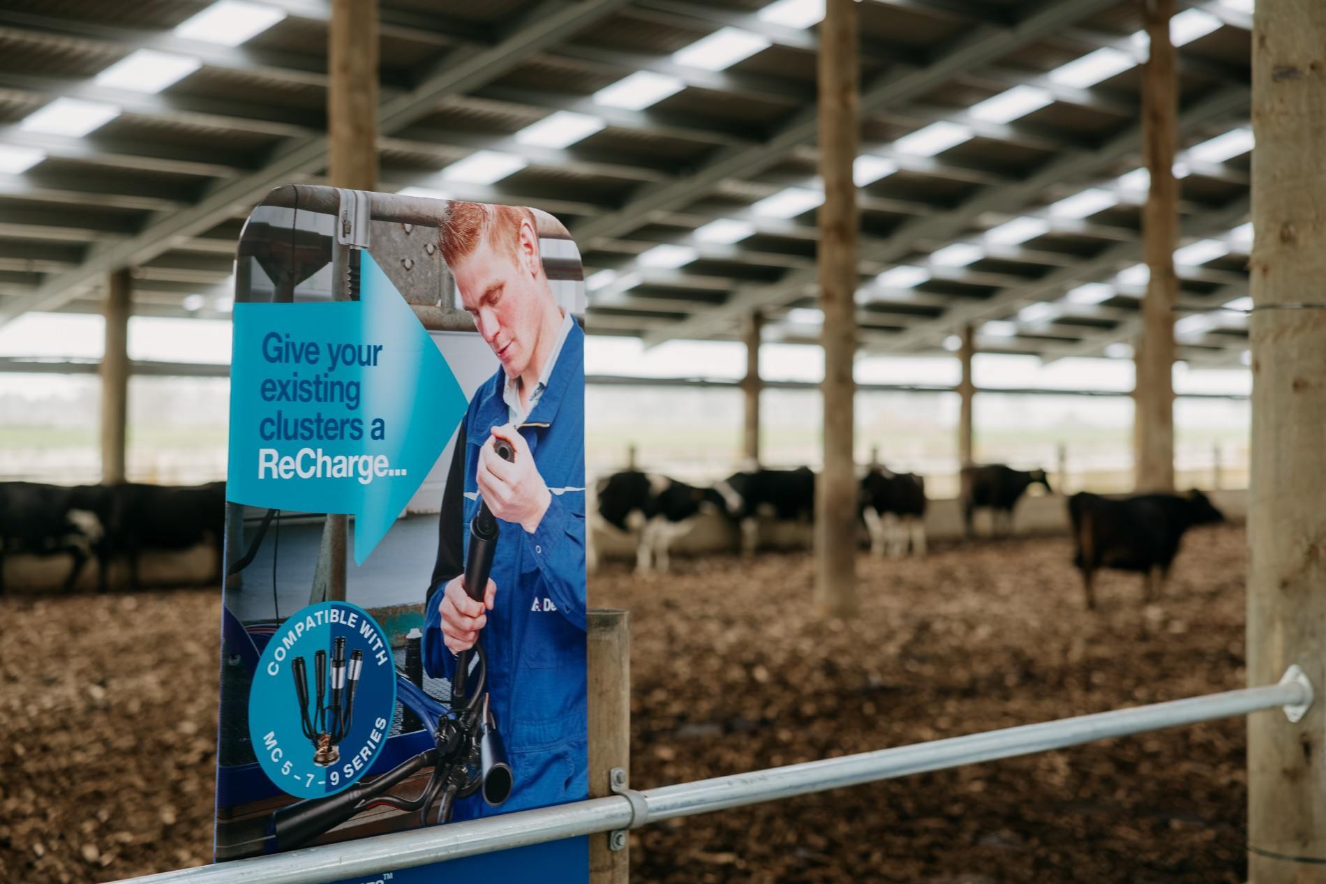 Taranaki composting barn roadshow at Campbell Clayton-Greene’s dairy farm