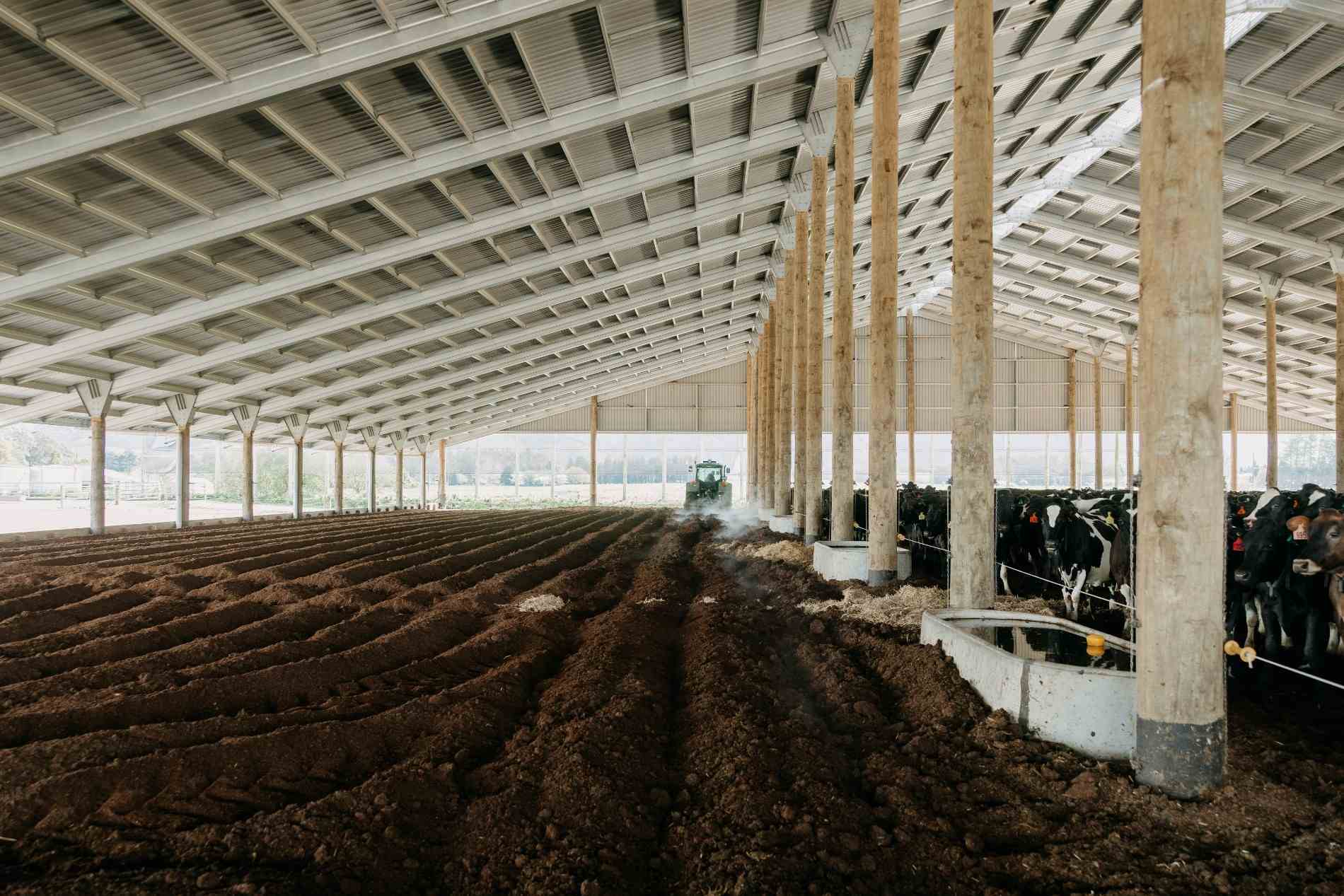 Composting barn roadshow at Waka Dairies in Dannevirke