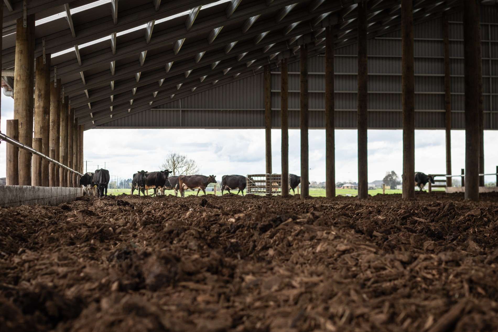 Aztech Waikato Composting Barn Roadshow
