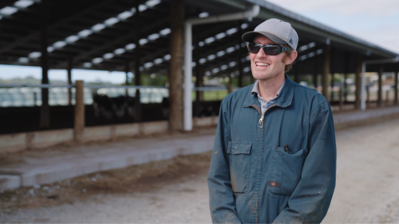 Audmore Dairy, Composting Barn, Auckland